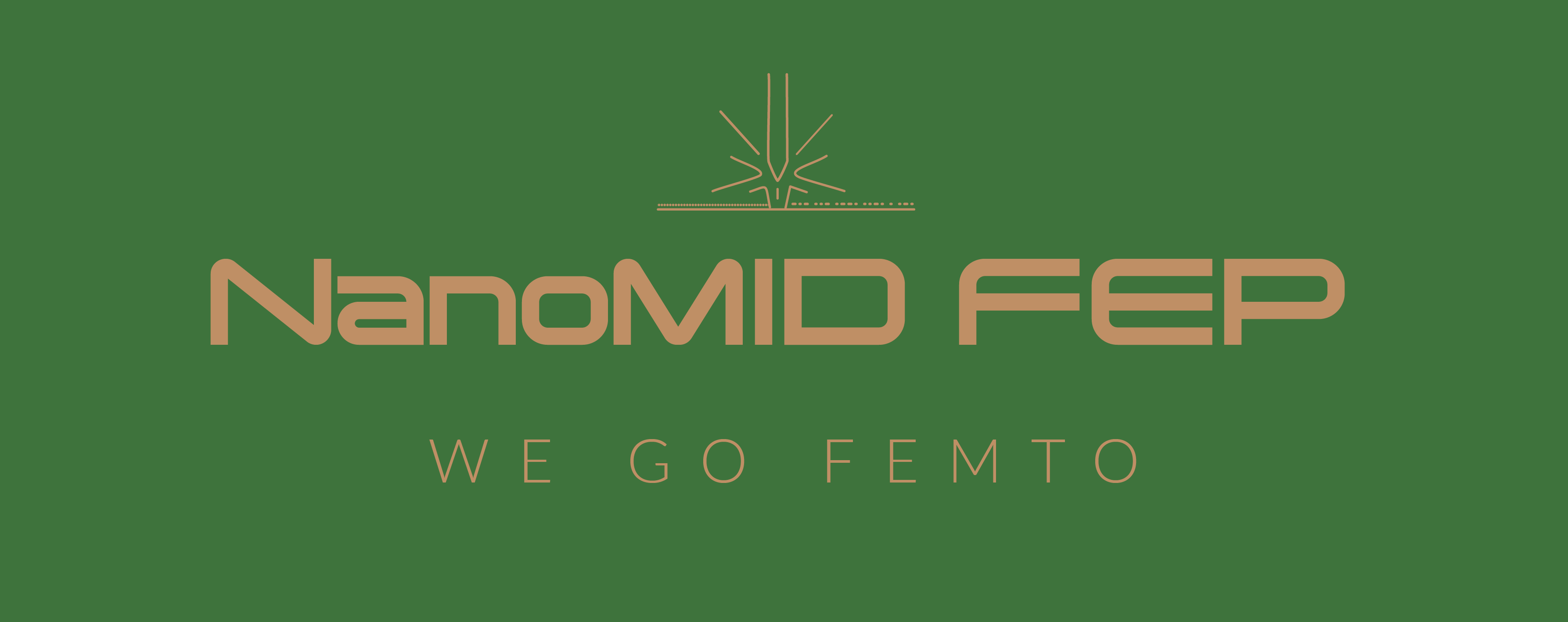 NanoMID FEP GbR Logo